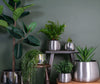 Plant Pots & Vases