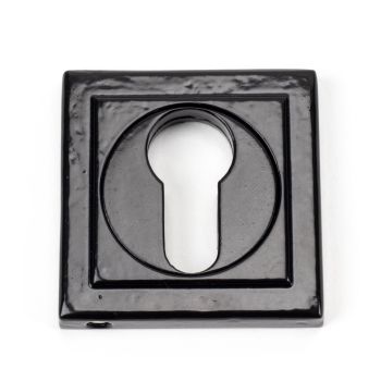 Concealed Fix Euro Profile Escutcheon