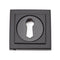 Concealed Fix Standard Keyhole Escutcheon