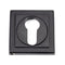 Concealed Fix Euro Profile Escutcheon