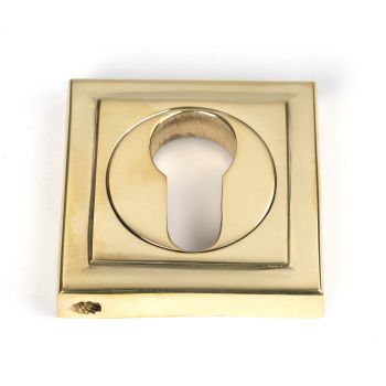 Concealed Fix Euro Profile Escutcheon
