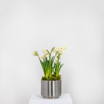 Marine Stainless Steel Newlyn Pot 16cm