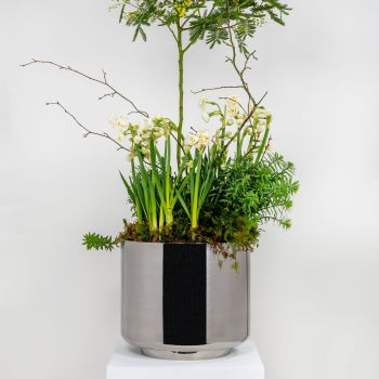 Marine Stainless Steel Newlyn Pot 28cm With Drainage Holes