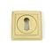 Concealed Fix Standard Keyhole Escutcheon