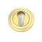 Concealed Fix Euro Profile Escutcheon