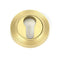 Concealed Fix Euro Profile Escutcheon