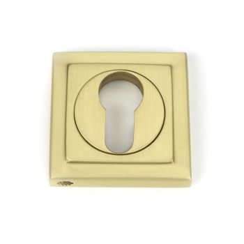 Concealed Fix Euro Profile Escutcheon