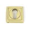 Concealed Fix Euro Profile Escutcheon