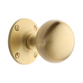 Westminster Ball Style Mortice Knob on Visible Fix Unsprung Rose