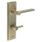 Fitzrovia Lever Handle on Backplate