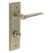 Knightsbridge Lever Handle on Backplate