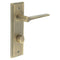 Knightsbridge Lever Handle on Backplate