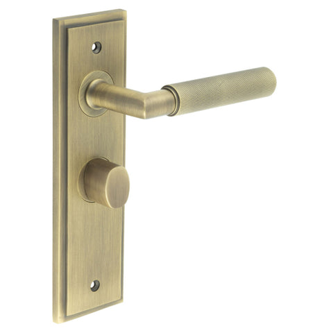 Piccadilly Lever Handle on Backplate