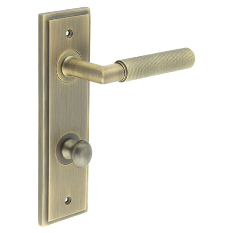 Piccadilly Lever Handle on Backplate