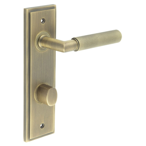 Piccadilly Lever Handle on Backplate