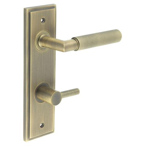 Piccadilly Lever Handle on Backplate