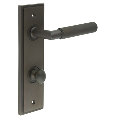 Piccadilly Lever Handle on Backplate