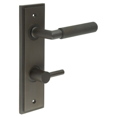 Piccadilly Lever Handle on Backplate