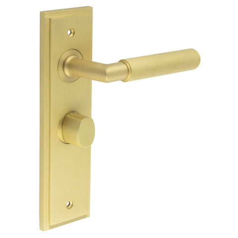 Piccadilly Lever Handle on Backplate