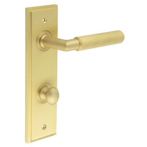 Piccadilly Lever Handle on Backplate