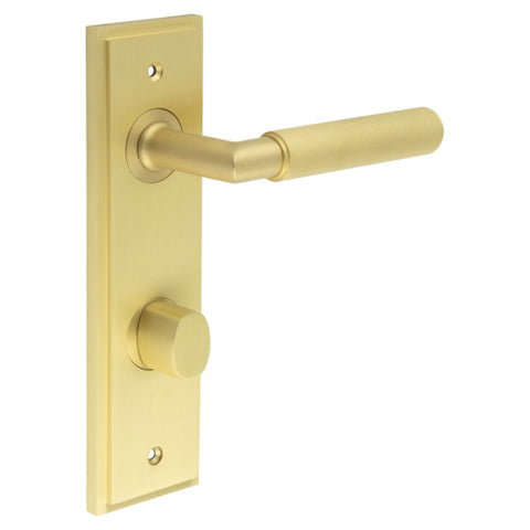 Piccadilly Lever Handle on Backplate