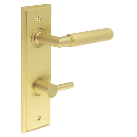 Piccadilly Lever Handle on Backplate