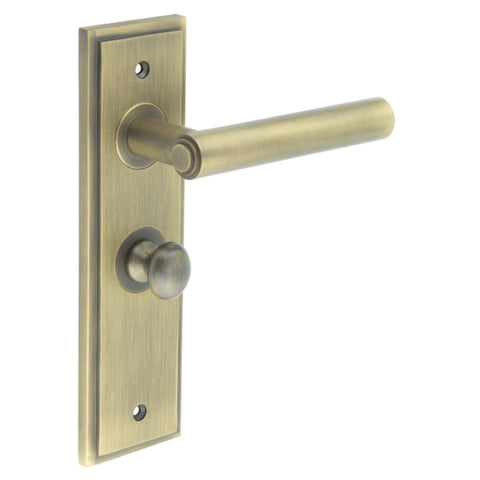 Richmond Lever Handle on Backplate