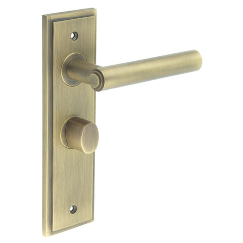 Richmond Lever Handle on Backplate