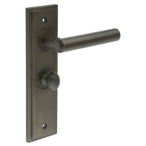 Richmond Lever Handle on Backplate