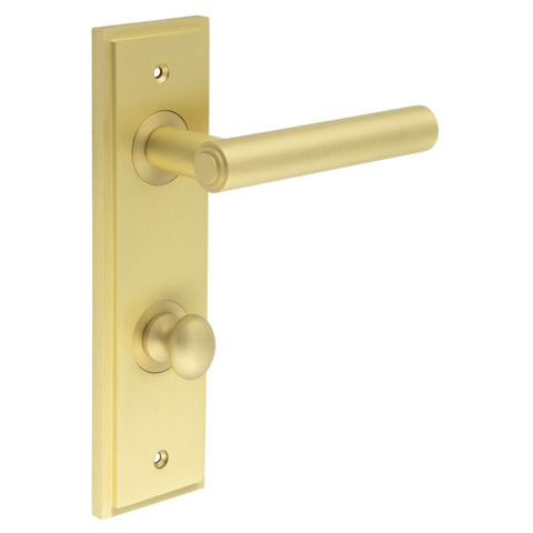 Richmond Lever Handle on Backplate