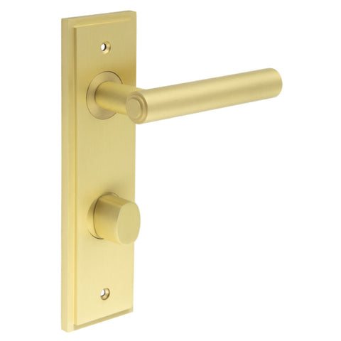 Richmond Lever Handle on Backplate