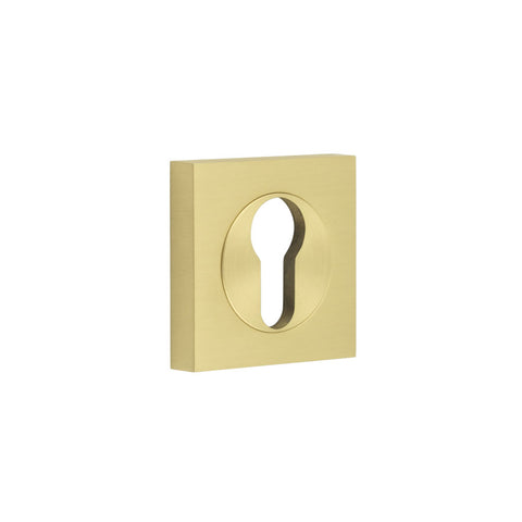 Burlington Euro Profile Escutcheon