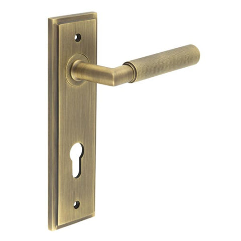 Piccadilly Lever Handle on Backplate