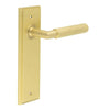 Piccadilly Lever Handle on Backplate