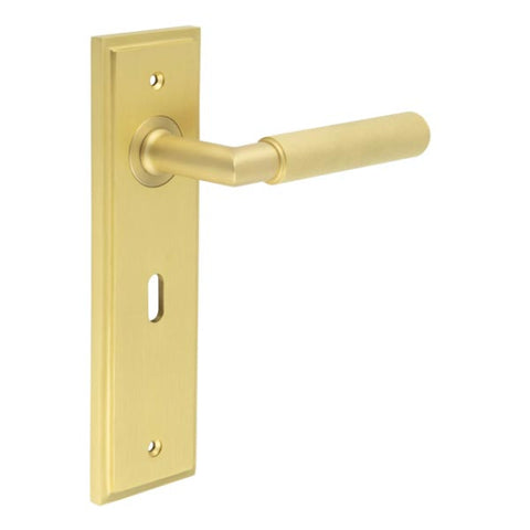 Piccadilly Lever Handle on Backplate