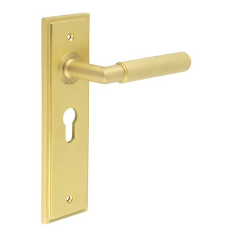 Piccadilly Lever Handle on Backplate