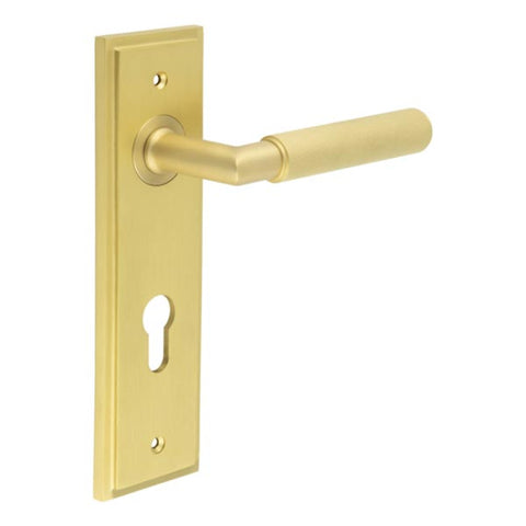 Piccadilly Lever Handle on Backplate