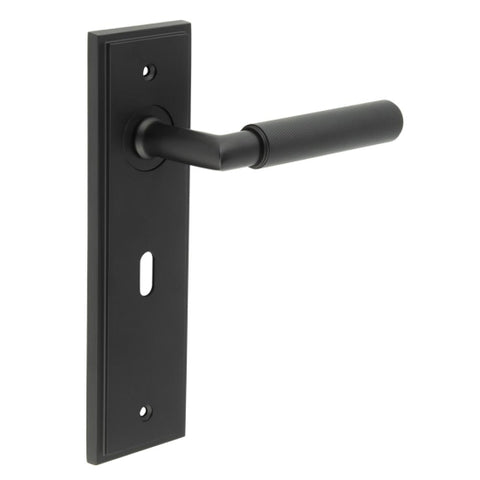 Piccadilly Lever Handle on Backplate