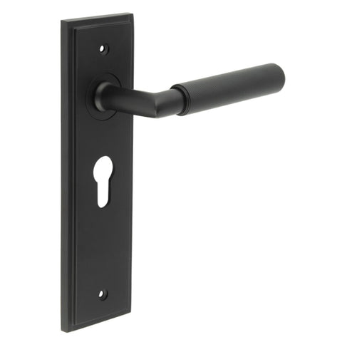 Piccadilly Lever Handle on Backplate