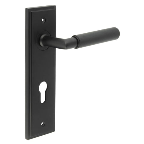 Piccadilly Lever Handle on Backplate