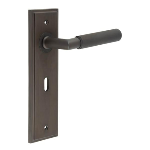 Piccadilly Lever Handle on Backplate