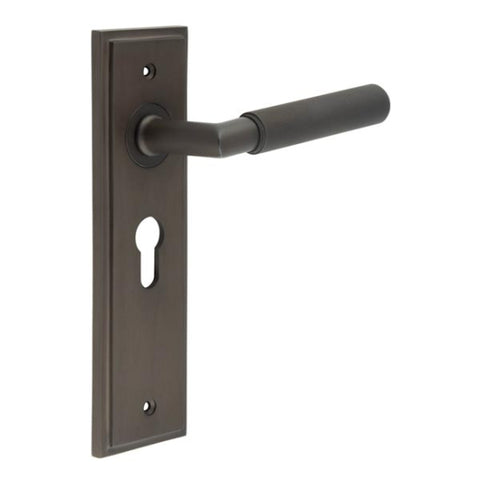 Piccadilly Lever Handle on Backplate