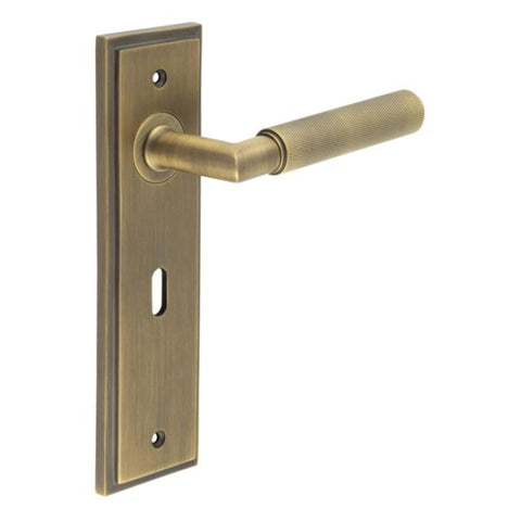 Piccadilly Lever Handle on Backplate