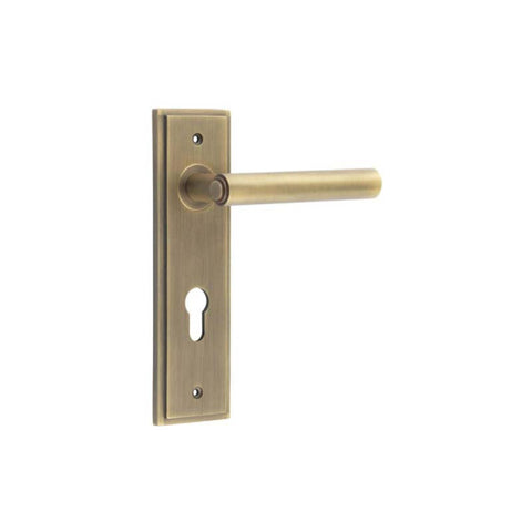 Richmond Lever Handle on Backplate