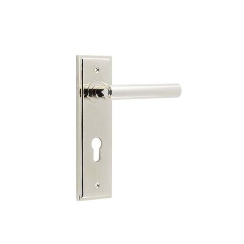 Richmond Lever Handle on Backplate