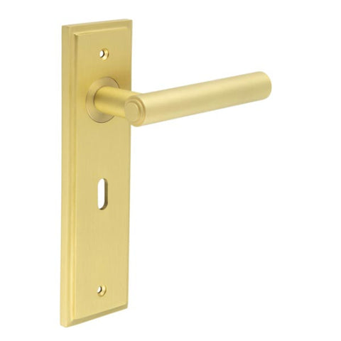 Richmond Lever Handle on Backplate