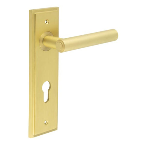 Richmond Lever Handle on Backplate