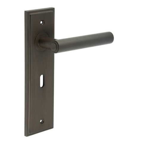 Richmond Lever Handle on Backplate