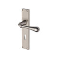 Roma Lever Handle on Reeded Backplate