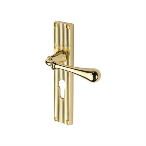 Roma Lever Handle on Reeded Backplate